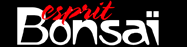 logo_espritbonsai__020578800_1214_290420