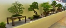 JMS_8