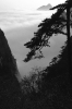 Paysage du Huangshan